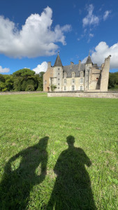 Photo de galerie - Tonte de pelouse - Débroussaillage