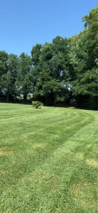 Photo de galerie - Tonte de pelouse 