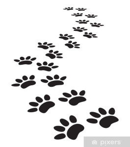 Photo de galerie - Garde chien