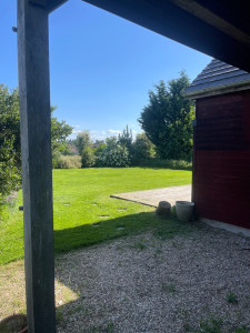 Photo de galerie - Tonte de pelouse 