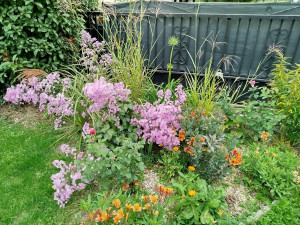 Photo de galerie - Plantation 