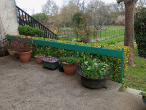 Photo de galerie - Taille de haies et d'arbustes