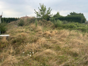 Photo de galerie - Avant