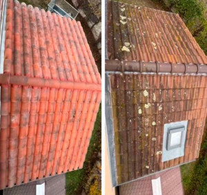 Photo de galerie - Couverture - Toiture