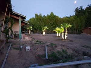 Photo de galerie - Paysagisme / Plantation de 4 palmiers avec minipelle + intégration d'un éclairage étanche / + Elaboration d'un réseau d'évacuation d'eau pluviale. / Terrassement  et mise à niveau d'un terrain de 2300m² à l'aide d'un BOBCAT