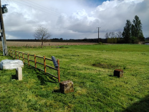 Photo de galerie - Tonte et entretien de parc