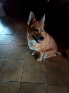 Photo de galerie - Dans la maison - 03/26