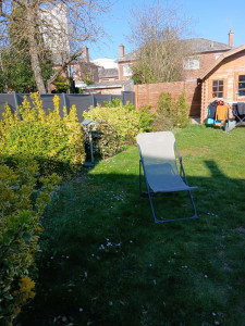 Photo de galerie - Avant débroussaillage des arbus 