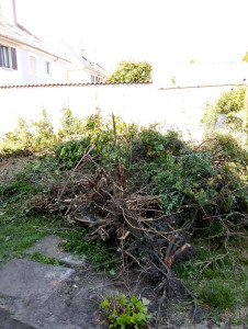 Photo de galerie - Évacuation déchets verts 