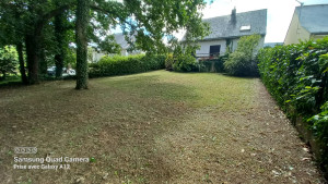 Photo de galerie - Tonte de pelouse - Débroussaillage