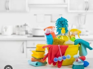 Photo de galerie - Ménage à domicile 