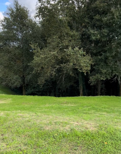 Photo de galerie - Paysagiste - Aménagement du jardin