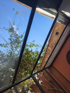 Photo de galerie - Remplacement de deux verres sur verrières en acier.