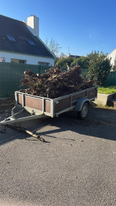 Photo de galerie - Taille de haies et d'arbustes