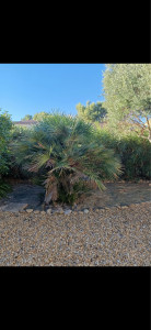 Photo de galerie - Simple efficace