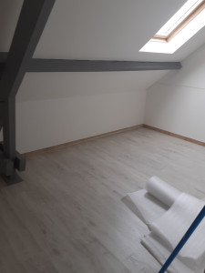 Photo de galerie - Pose de parquet et peinture