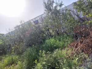 Photo de galerie - .