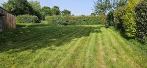 Photo de galerie - Tonte de pelouse - Débroussaillage