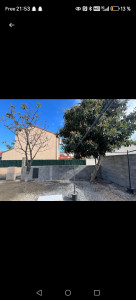 Photo de galerie - Prestations chez un client abattage d arbre plus déraciné et évacuation végétaux 