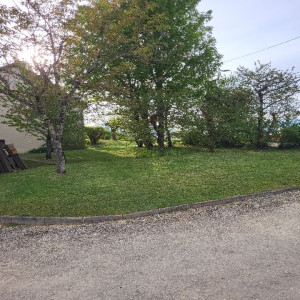 Photo de galerie - Tonte gazon