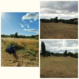 Photo de galerie - Nettoyage de parcelle