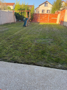 Photo de galerie - Tonte des pelouse, débroussaillage, des pelouses et soufflage de la terrasse