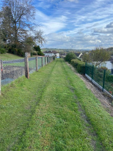 Photo de galerie - Tonte 