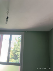Photo de galerie - Peinture - Tapisserie