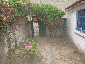 Photo de galerie - Tonte 