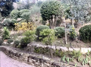 Photo de galerie - Jardinier