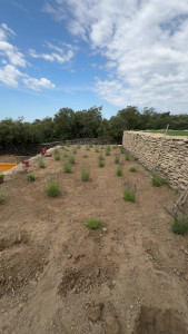 Photo de galerie - Paysagiste - Aménagement du jardin