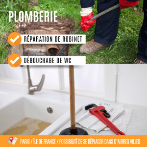 Photo de galerie - Réparation de robinet; débouchage de WC.