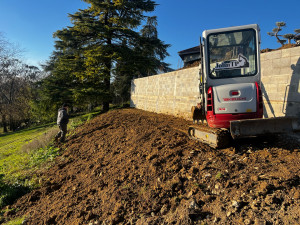 Photo de galerie - Remise en forme végétal 