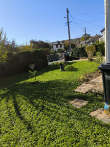 Photo de galerie - Tonte de pelouse 