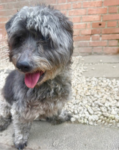 Photo de galerie - GUESSY