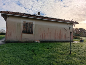 Photo de galerie - Façade côté nord ouest rempli de champignons et de traînée rouge dû à l'humidité