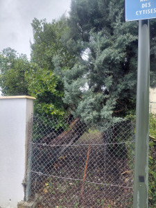 Photo de galerie - Jardinier