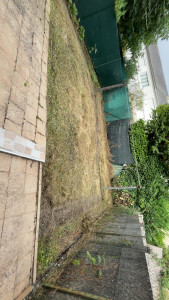 Photo de galerie - Nettoyage de la cour finie