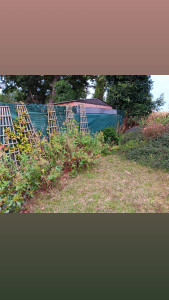 Photo de galerie - Paysagiste - Aménagement du jardin