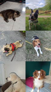 Photo de galerie - ??