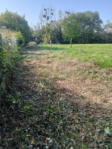 Photo de galerie - Débroussaillage au long d une forêt 