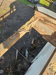 Photo de galerie - Charpente