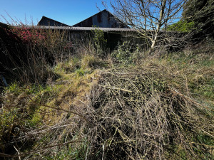 Photo de galerie - Tonte de pelouse - Débroussaillage
