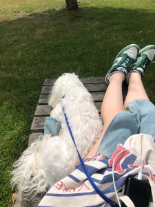 Photo de galerie - Garde chien