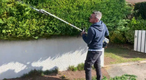 Photo de galerie - Taille de haies et d'arbustes