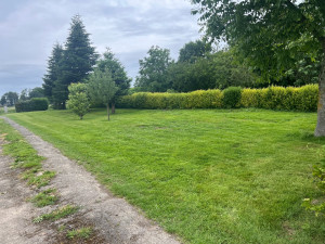 Photo de galerie - Tonte de pelouse 