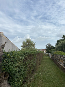 Photo de galerie - Taille de haie à la demande du client ?