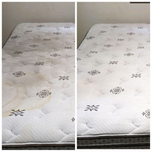 Photo de galerie - Shampouineuse