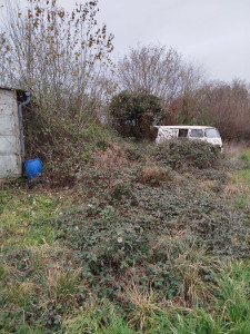 Photo de galerie - Terrain a débroussailler 


