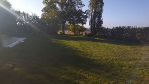 Photo de galerie - Tonte parcelle de 2000m2, Z-turn toro. 